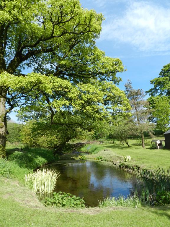 Rowrah Hall Bed & Breakfast Whitehaven Bagian luar foto